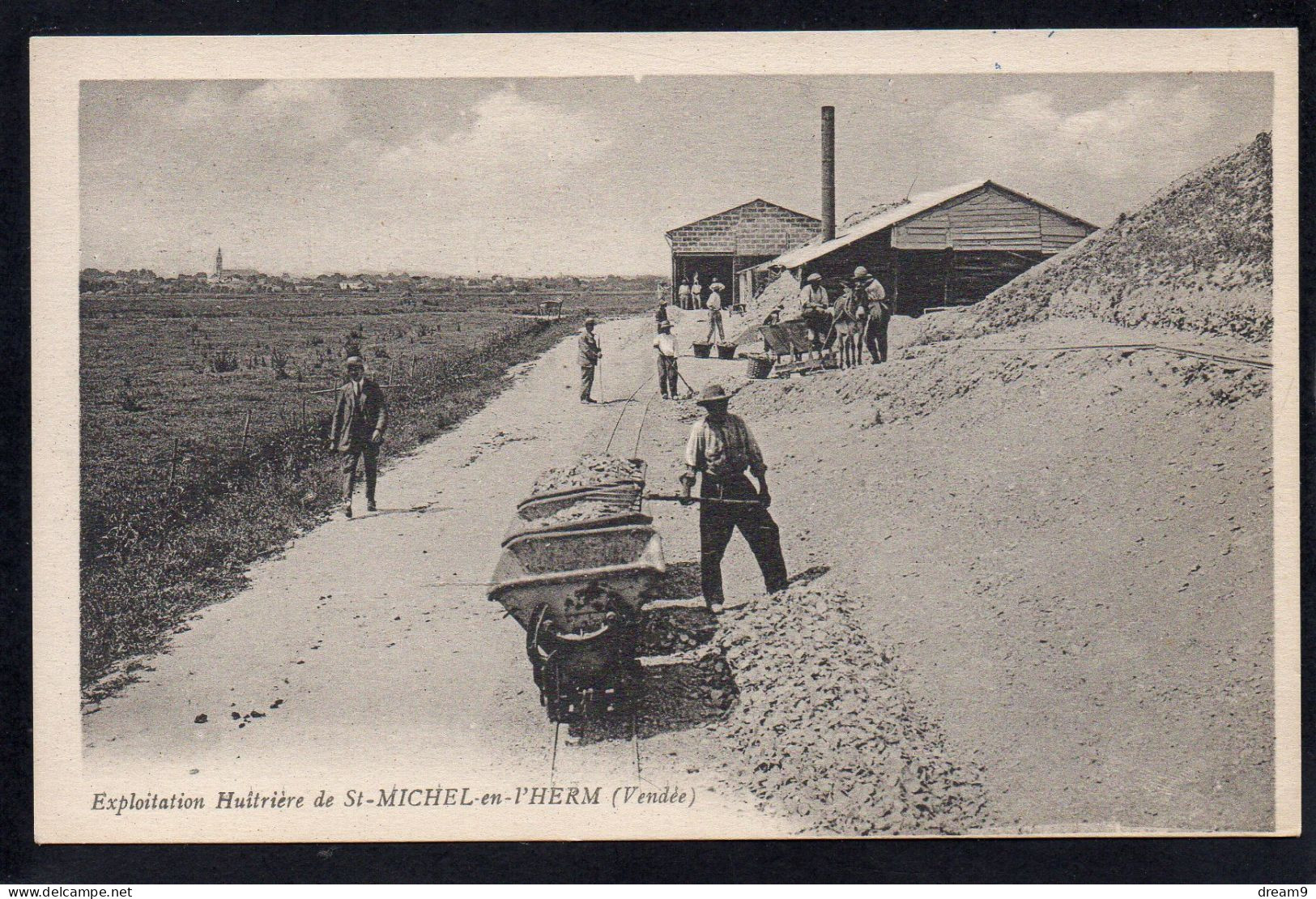 85 SAINT MICHEL EN L'HERM - Exploitation Huitrière - Métier