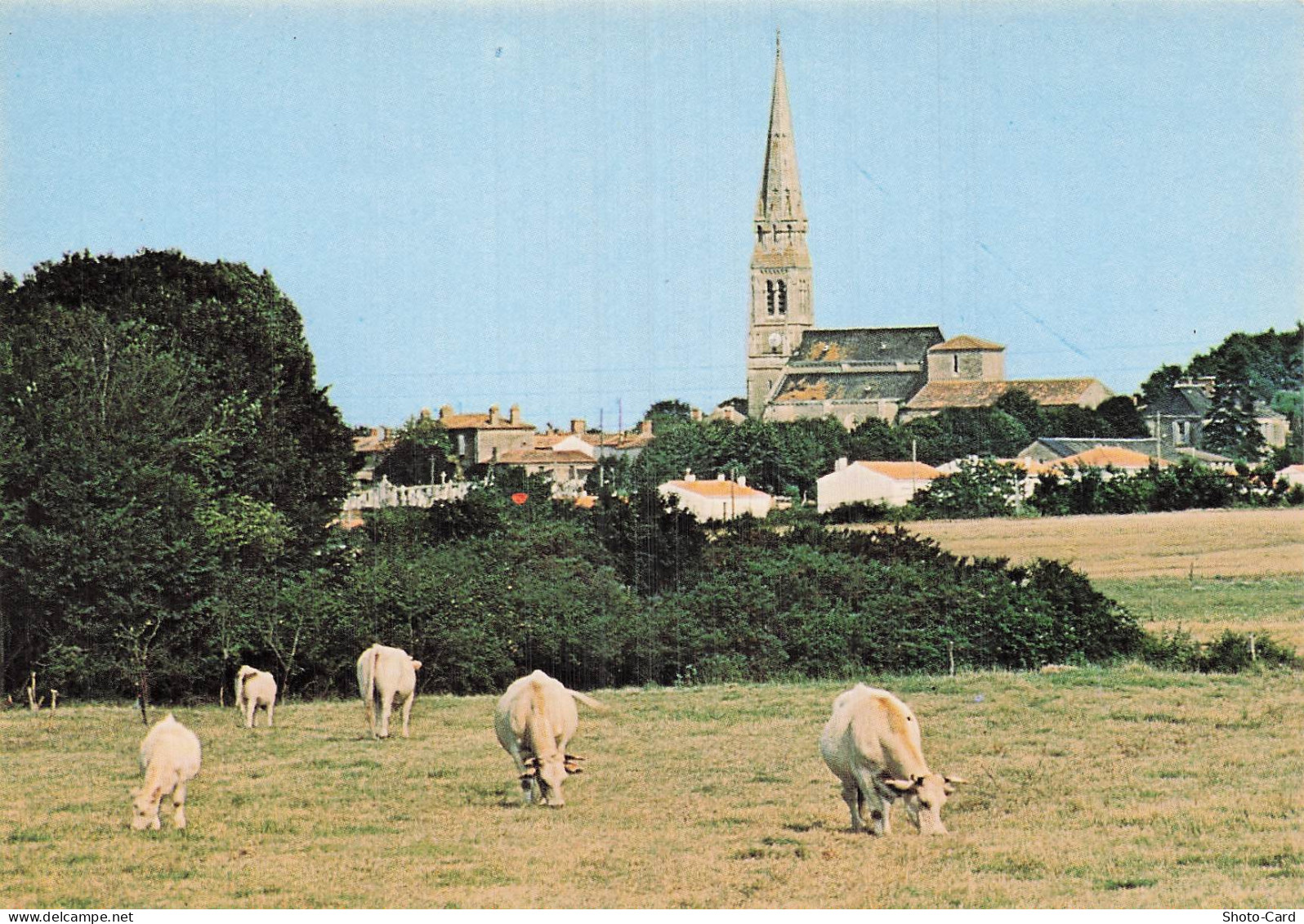 85 TALMONT SAINT HILAIRE EGLISE ST HILAIRE