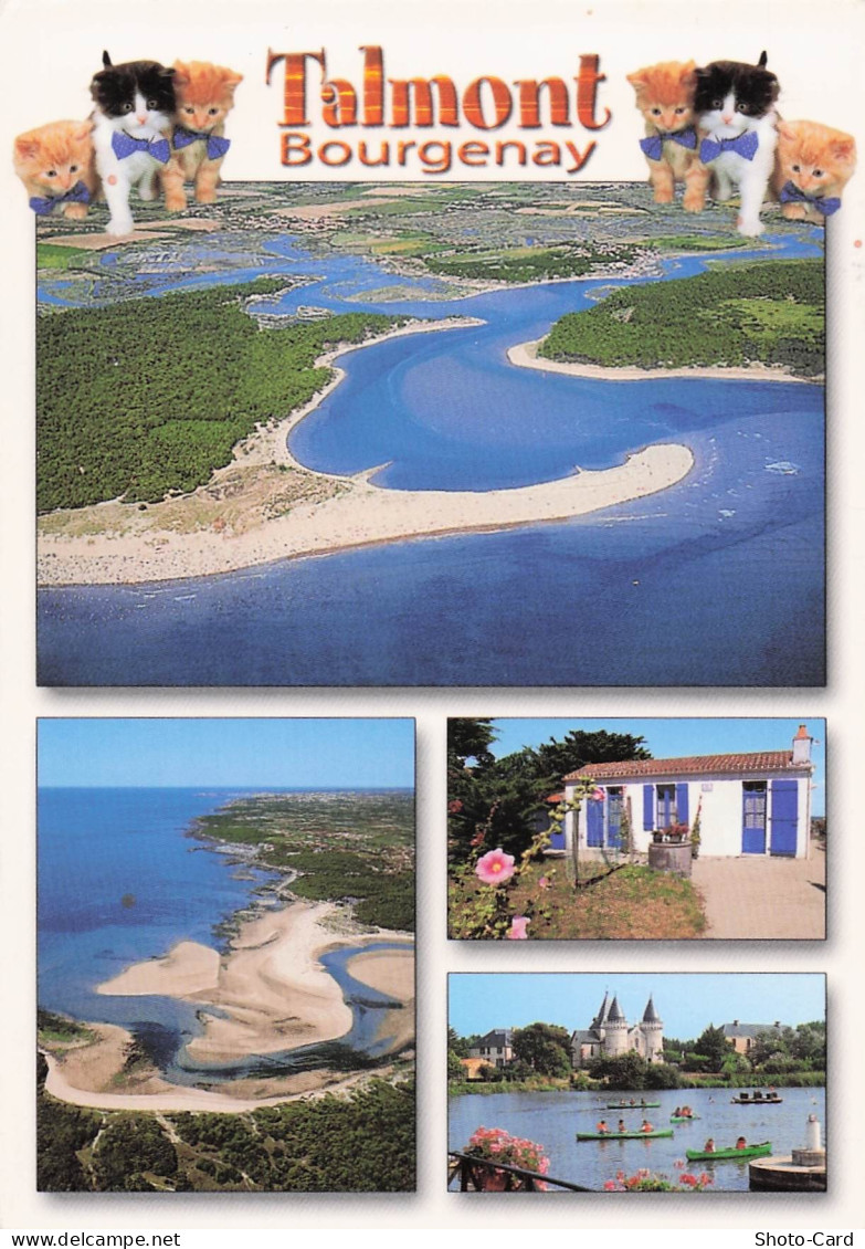 85 TALMONT SAINT HILAIRE TALMONT BOURGENAY