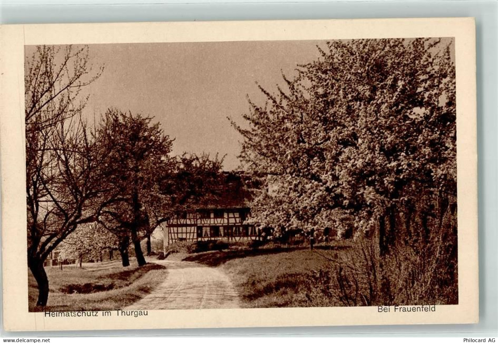 8500 Frauenfeld - 10623110