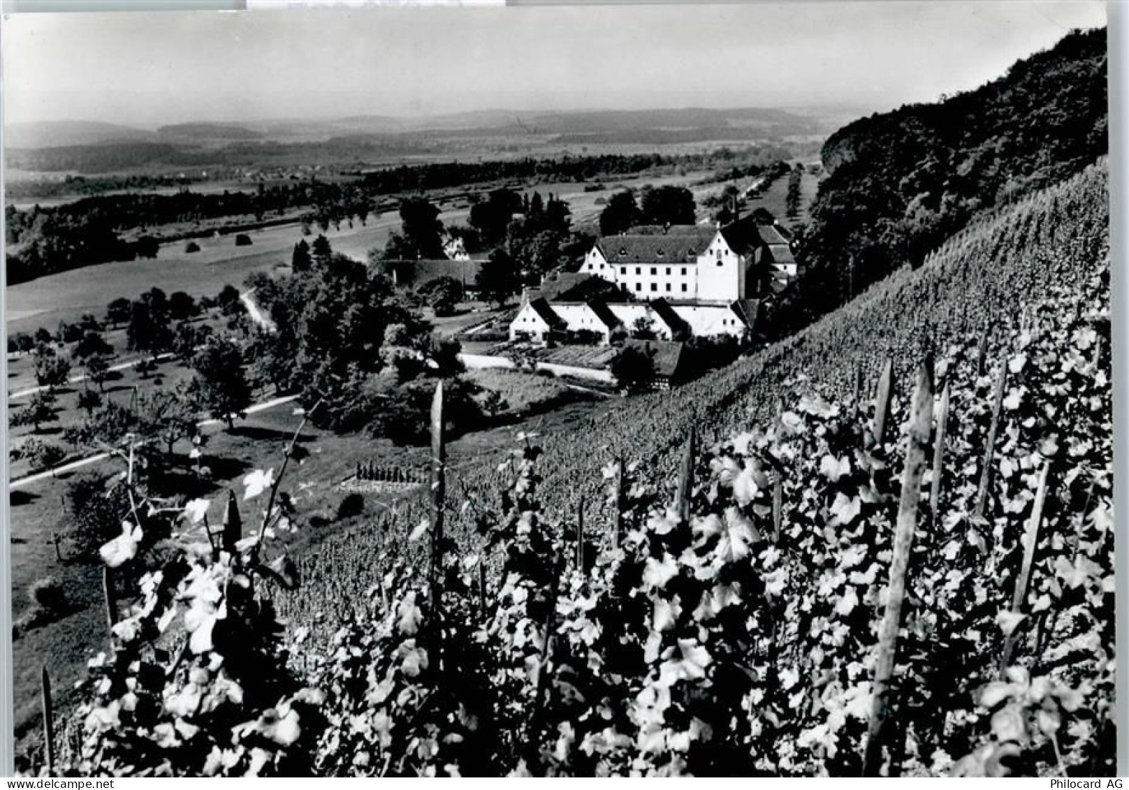 8532 Warth - 51073837