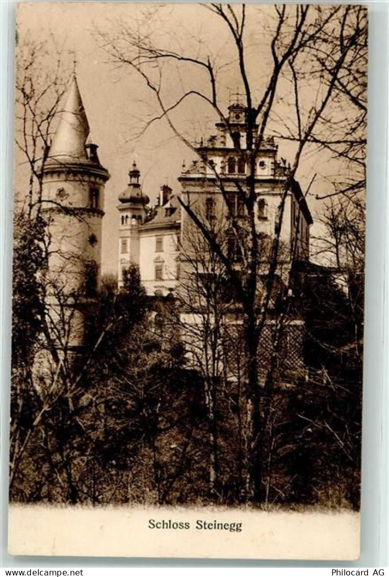 8536 Steinegg TG Hüttwilen 1911 - Schloss - 10587928