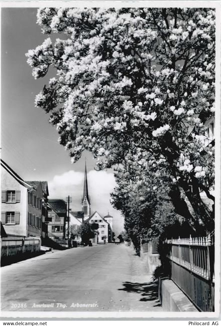 8580 Amriswil Räuchlisberg - Arbonerstrasse - 50413320