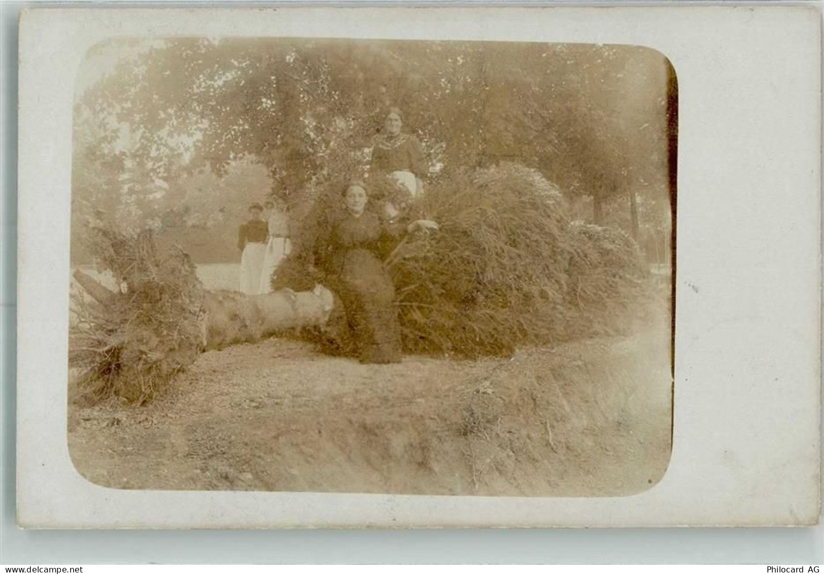 8596 Münsterlingen 1912 Privatfoto AK Ort lt. Stempel - 39764855