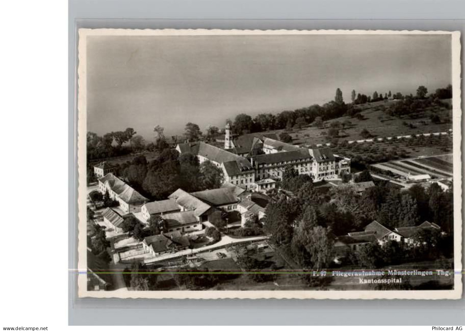 8596 Münsterlingen - Fliegeraufnahme - 50297544