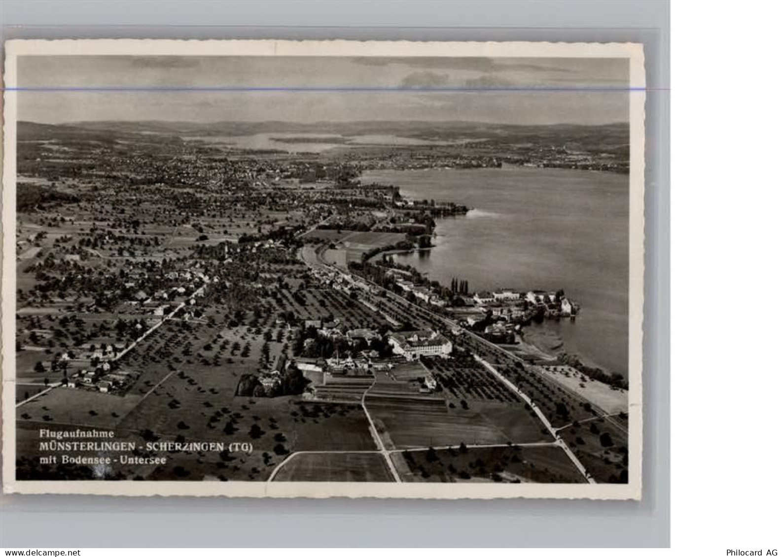 8596 Münsterlingen - Fliegeraufnahme - 50297612
