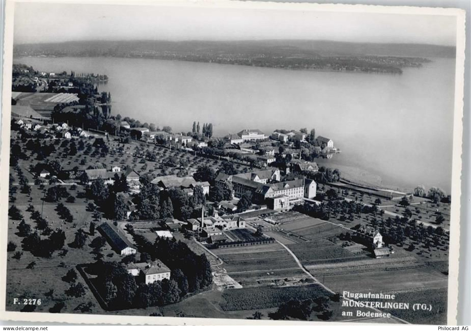 8596 Münsterlingen - Fliegeraufnahme - 50435648