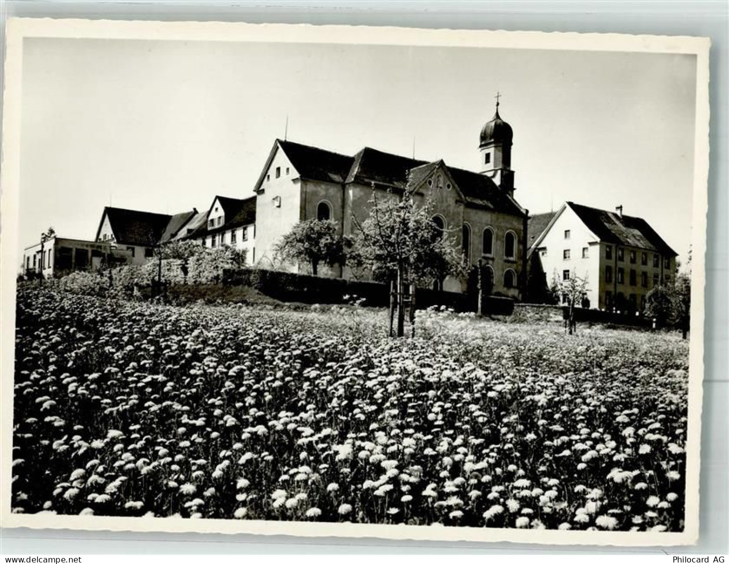 8596 Münsterlingen Foto AK Kirche - 38024084