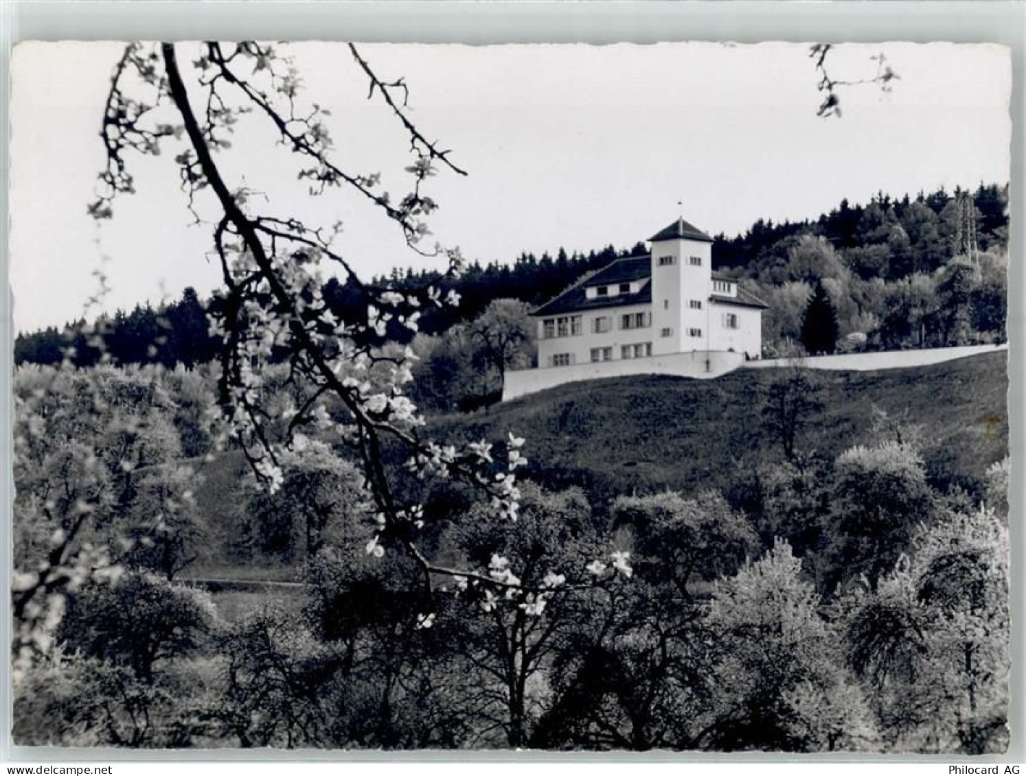 8600 Dübendorf - Gasthaus Waldmannsburg - 51796814
