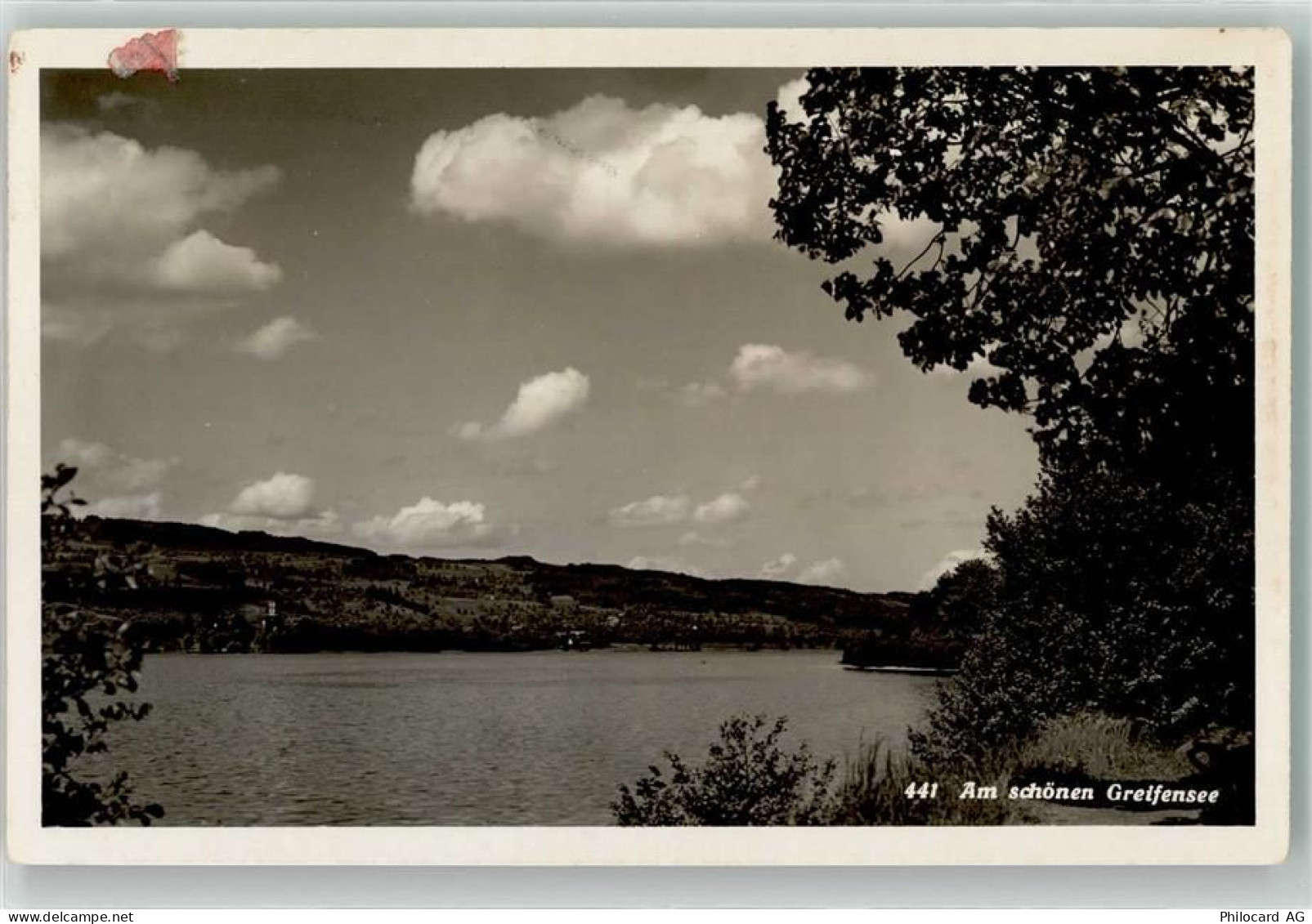 8606 Greifensee - 39489374