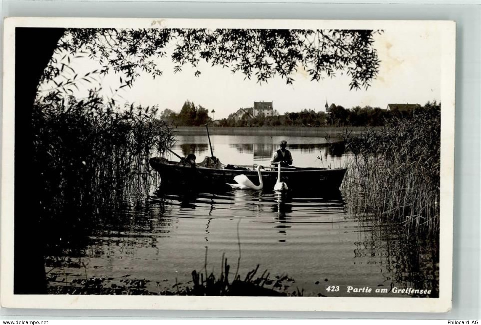 8606 Greifensee - Schwäne Ruderboot - 39699949