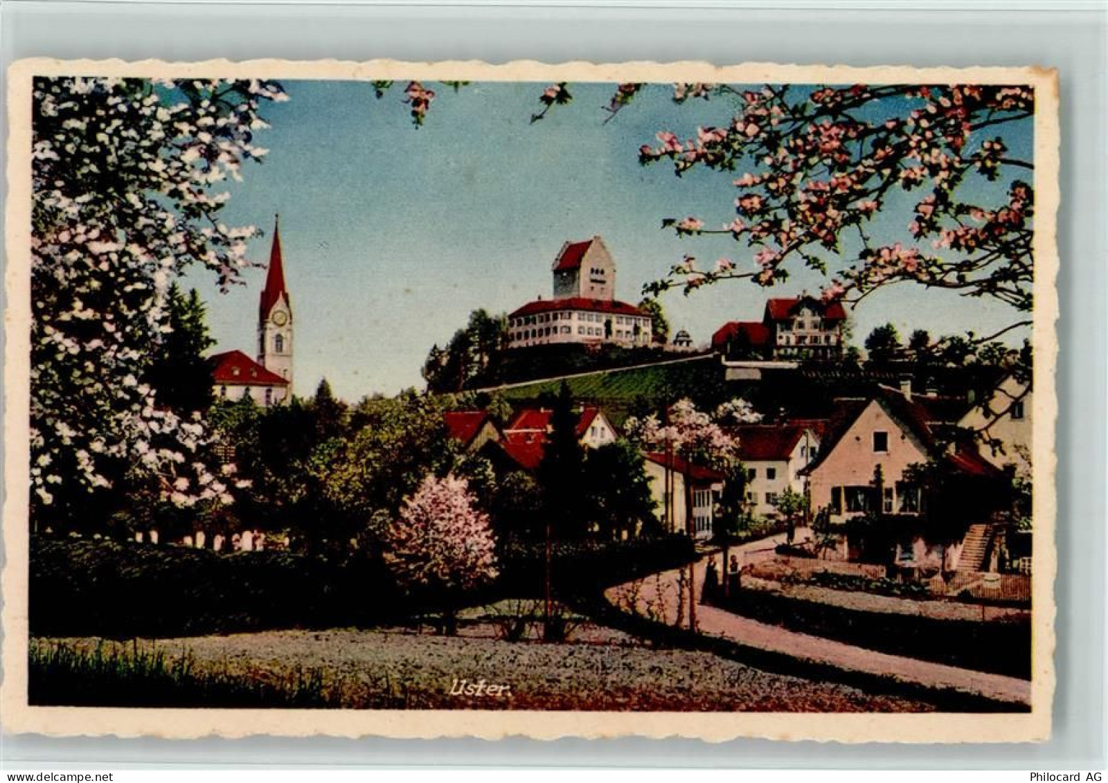 8610 Uster - Baumblüte - 13112379
