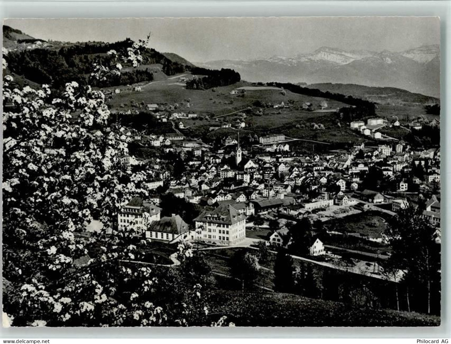 8636 Wald ZH - 10158701