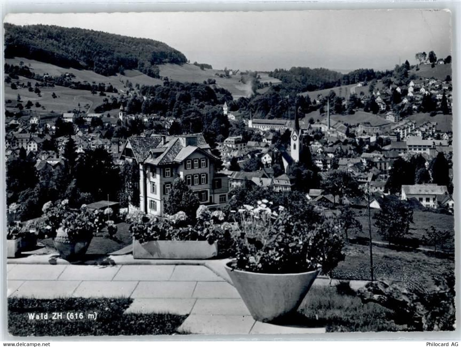 8636 Wald ZH - 50873468