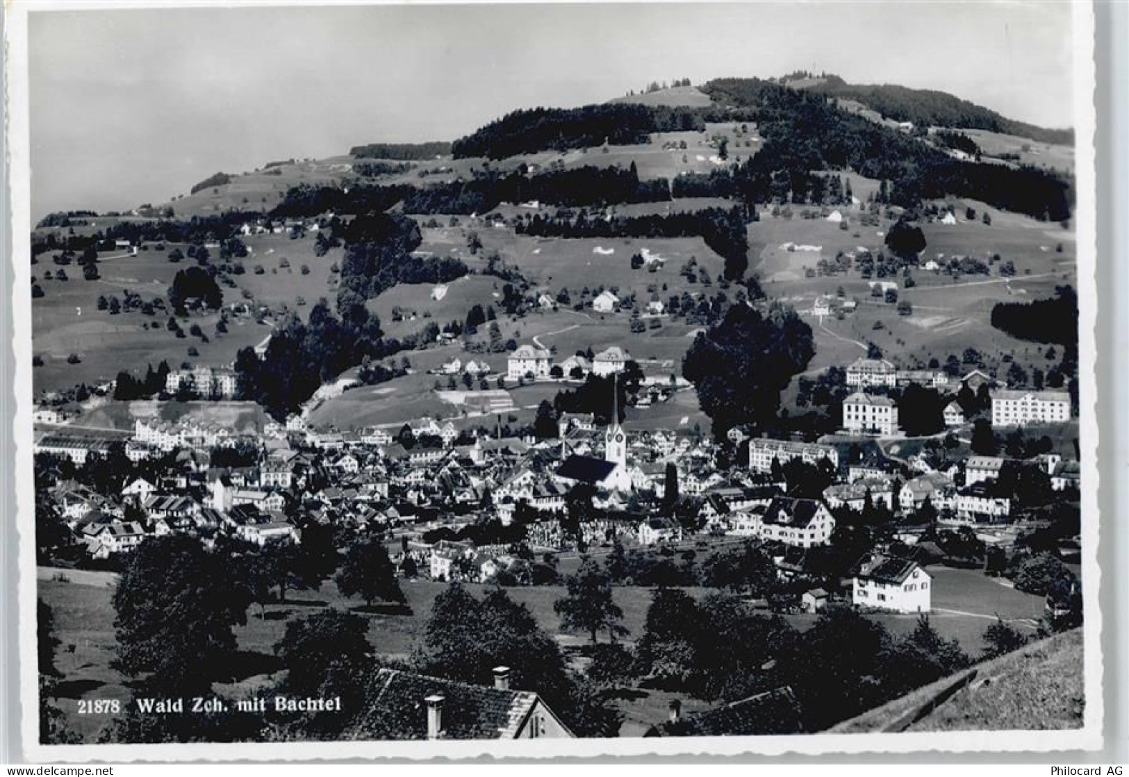 8636 Wald ZH - Bachtel - 50737765