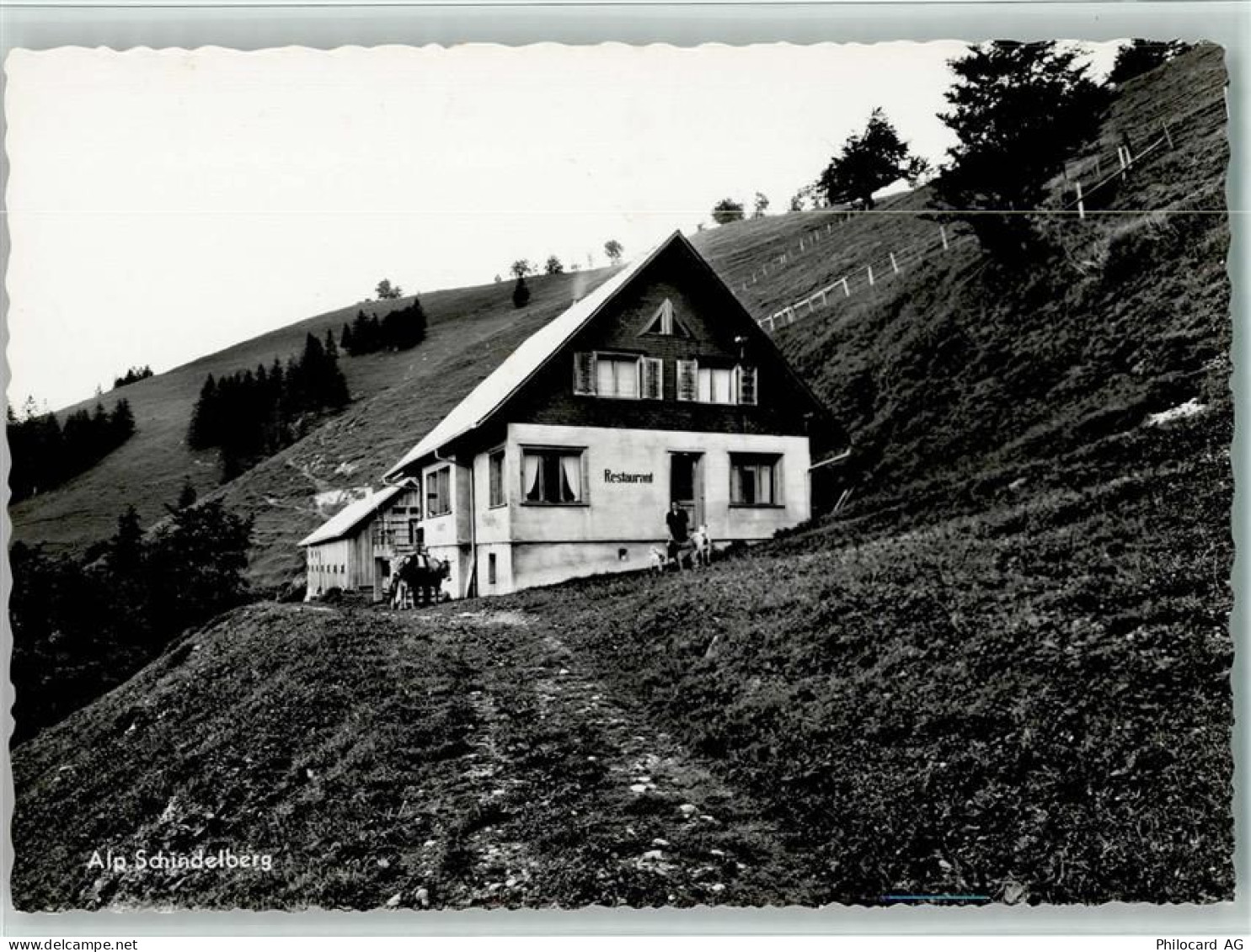 8638 Goldingen - Restaurant Alp Schindelberg - 10161511
