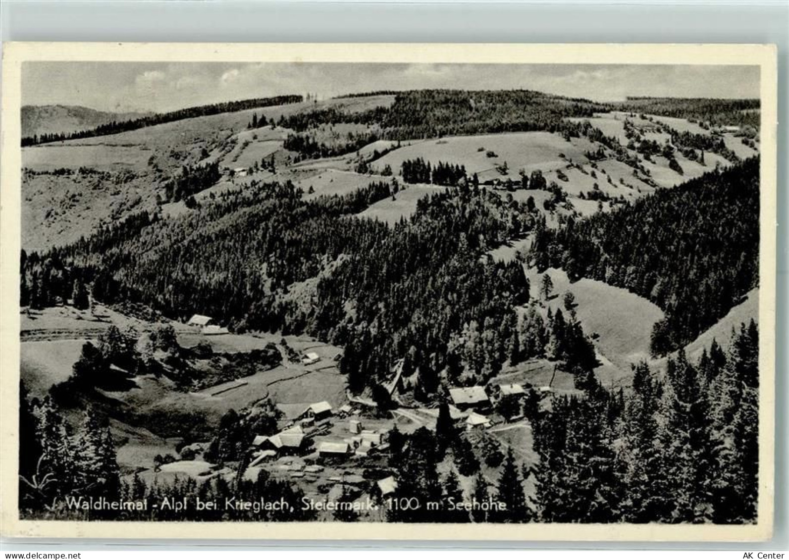 8670 Krieglach - Waldheimat-Alpl - 10275911