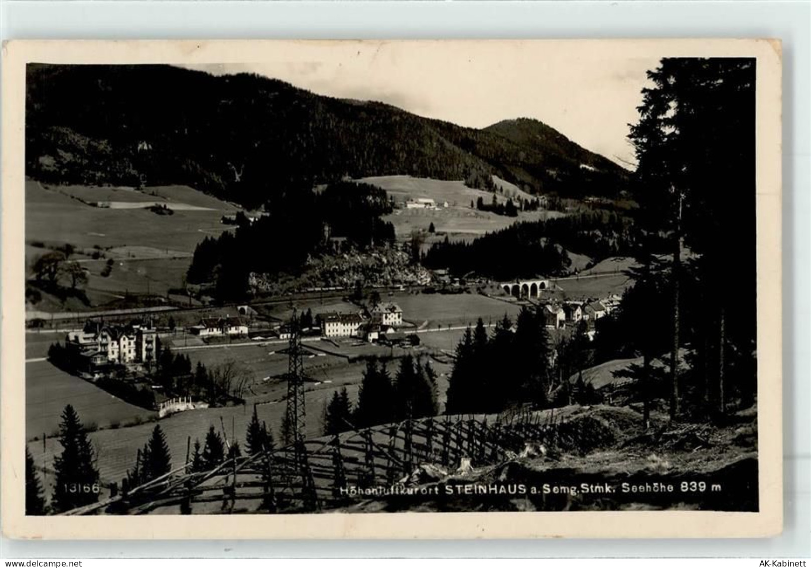8684 Steinhaus am Semmering - 52043514