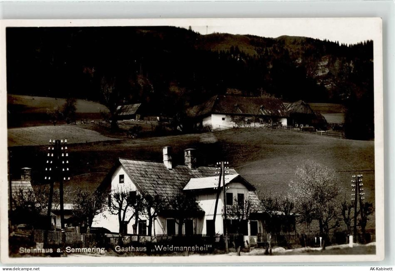 8684 Steinhaus am Semmering - Gasthaus Waidmannsheil - 52048649