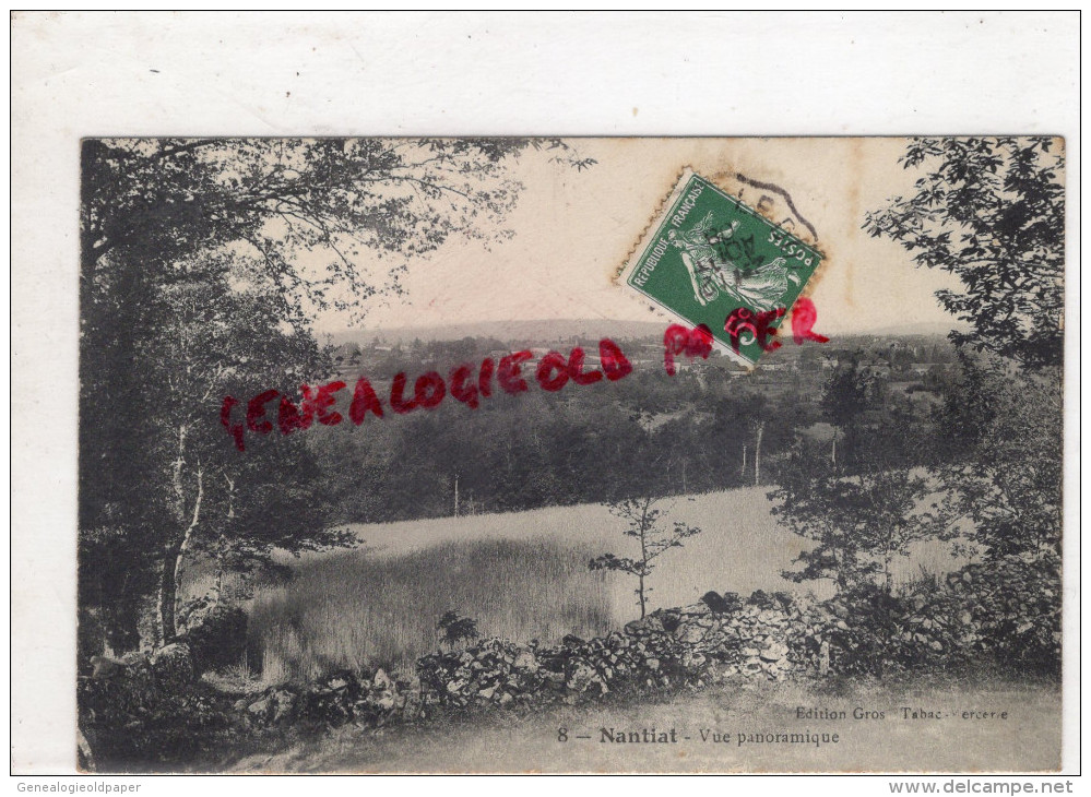 87 - NANTIAT -VUE PANORAMIQUE