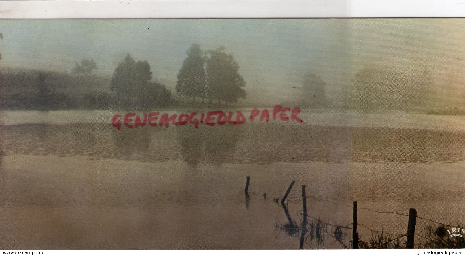 87- PANAZOL- IMAGES DU LIMOUSIN - L' IRREEL- ETANG - CAP THEOJAC PANAZOL