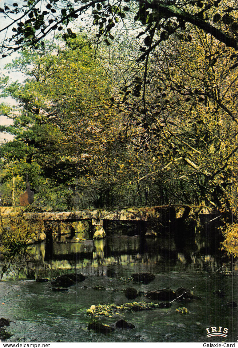 87 PANAZOL LE VIEUX PONT