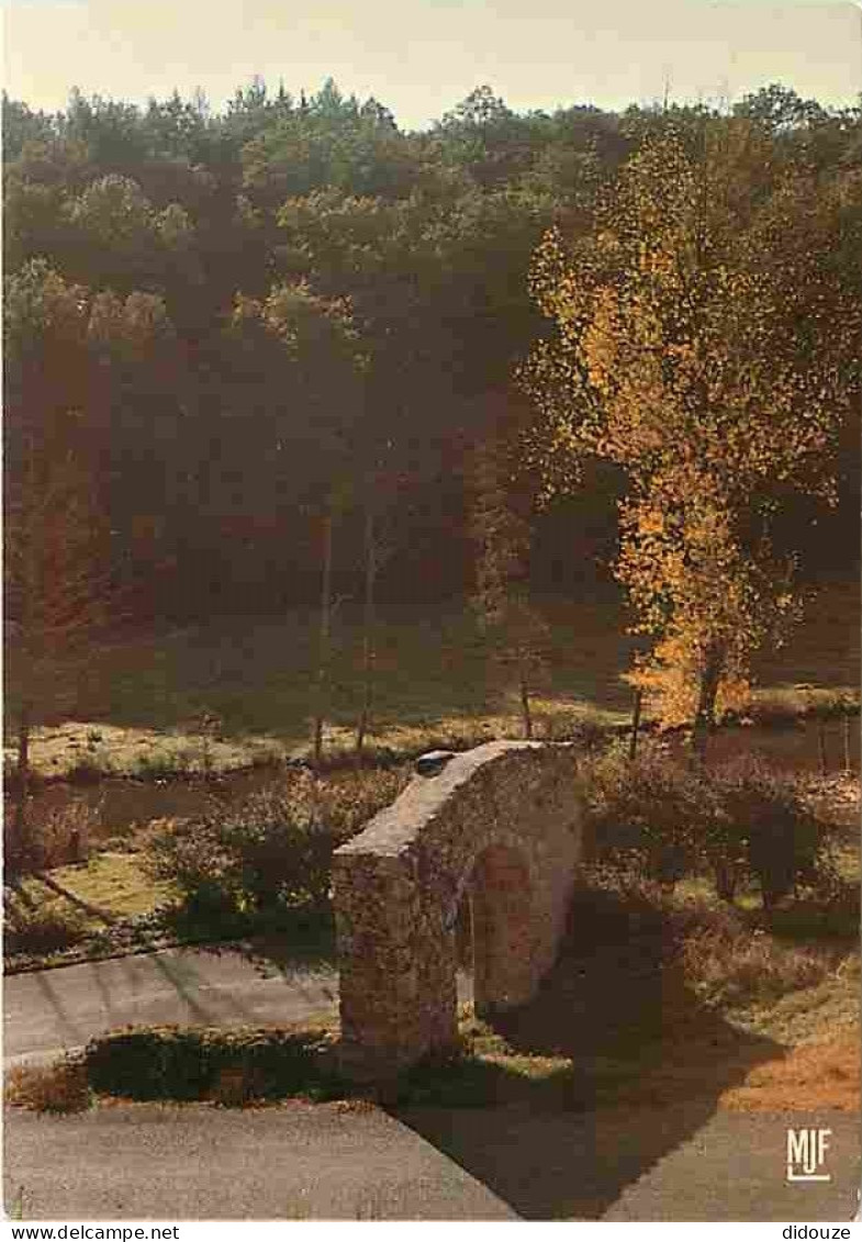 87 - Rochechouart - Le Château - L'ancienne porte d'entrée - Carte Neuve - CPM - Voir Scans Recto-Verso