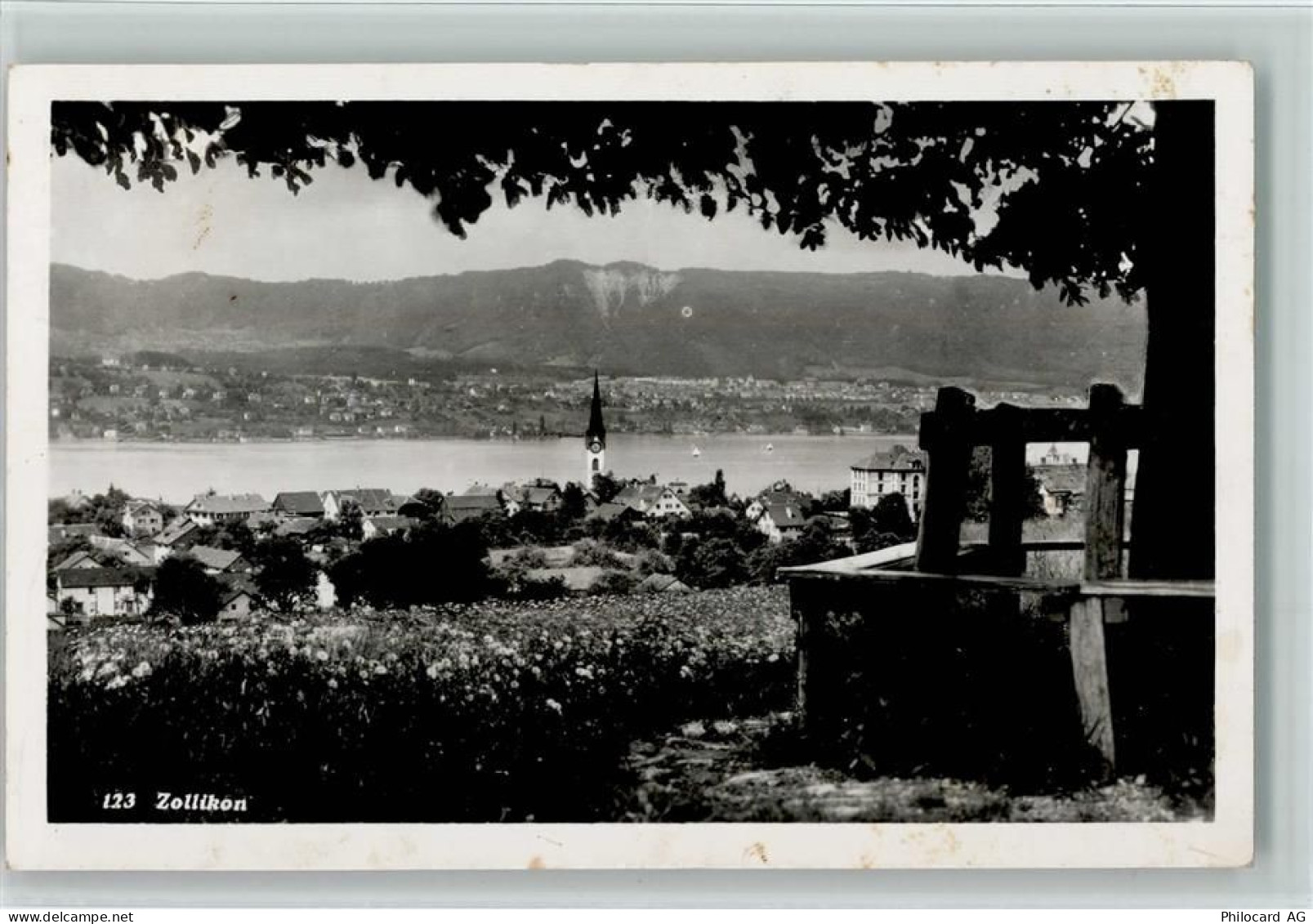 8702 Zollikon - 13100464