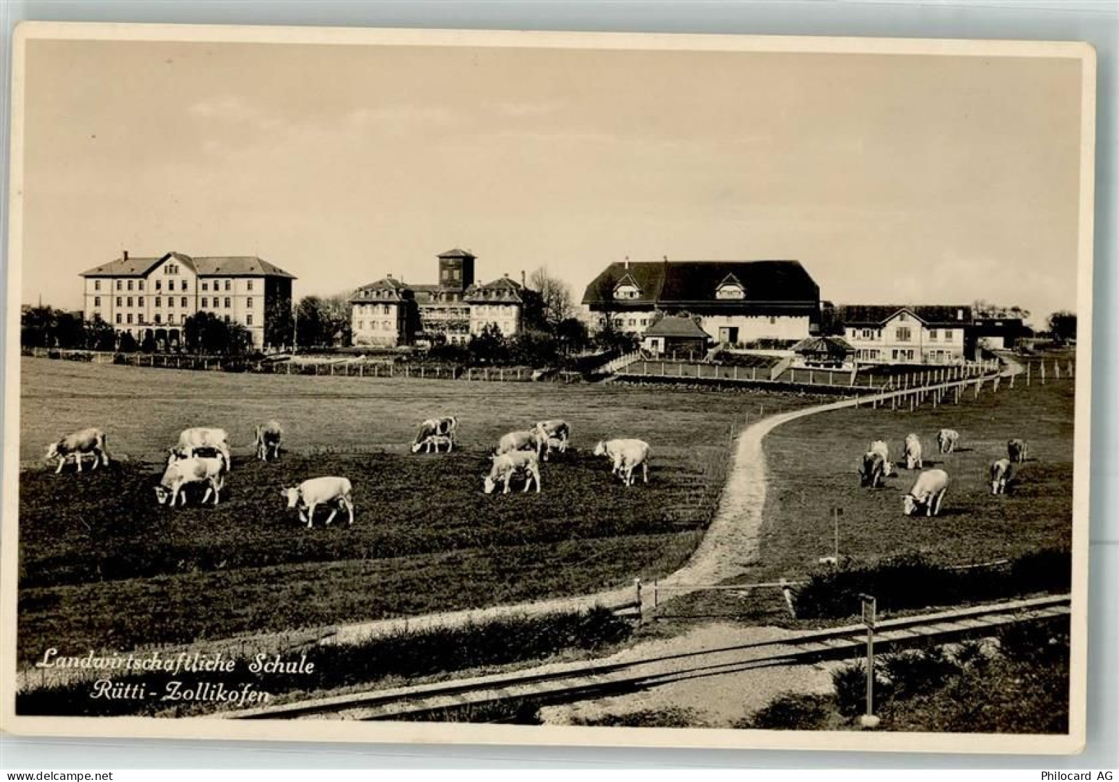 8702 Zollikon 1932 Foto AK Landwirtschaftliche Schulke - 38022649