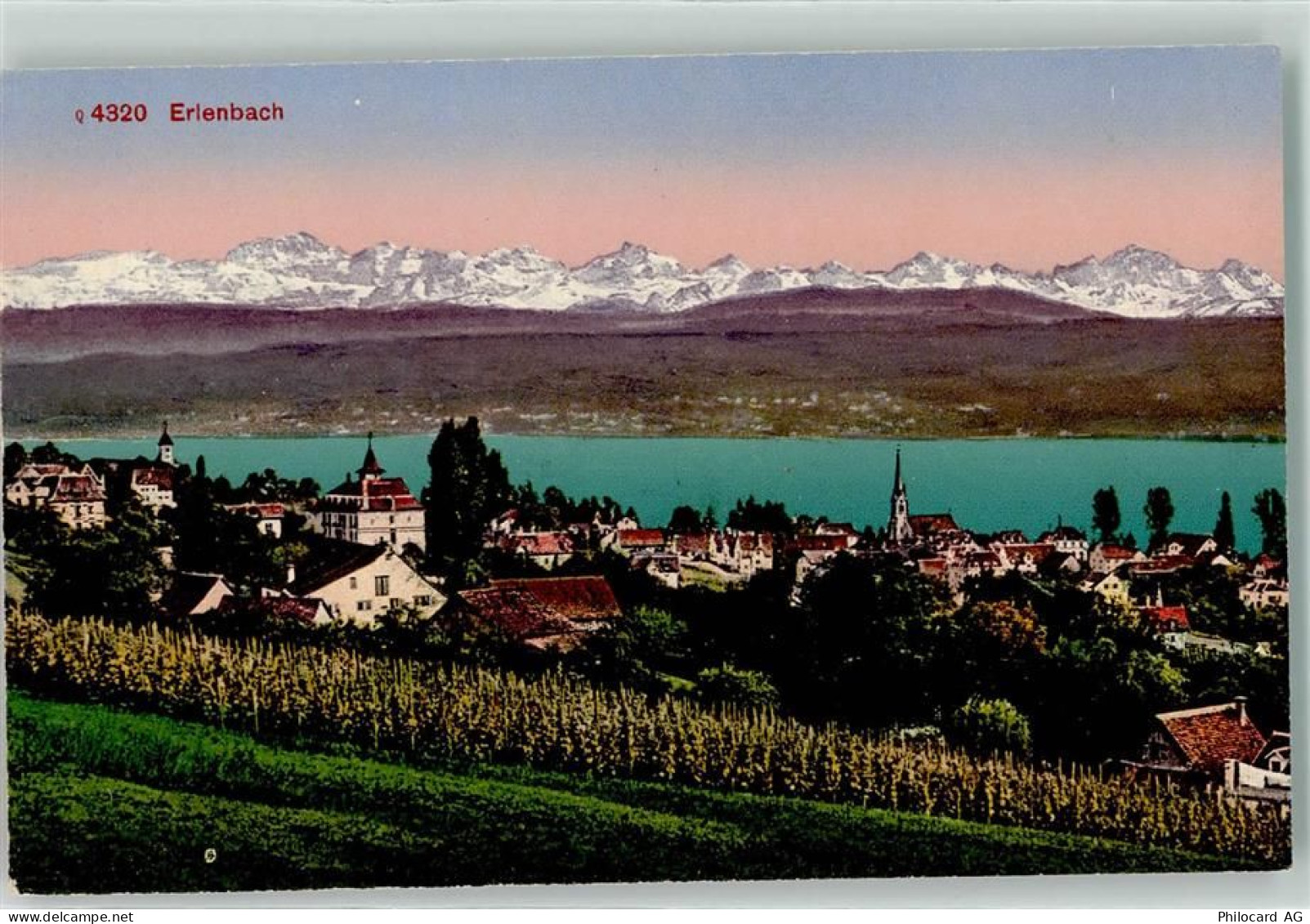 8703 Erlenbach ZH - 10603858