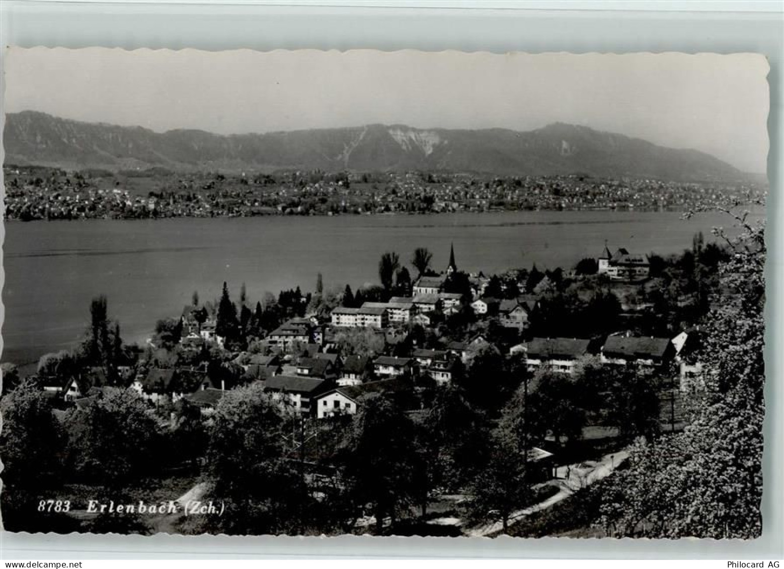 8703 Erlenbach ZH - 13109912