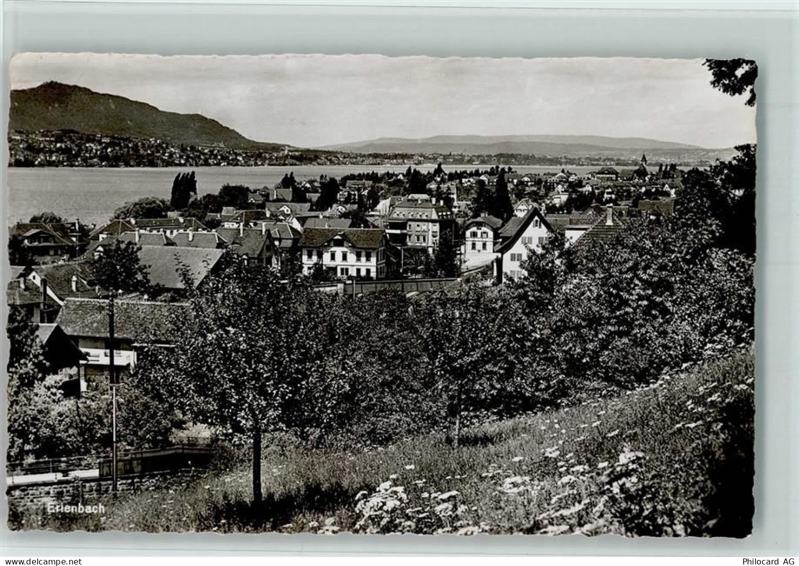 8703 Erlenbach ZH - 13109924