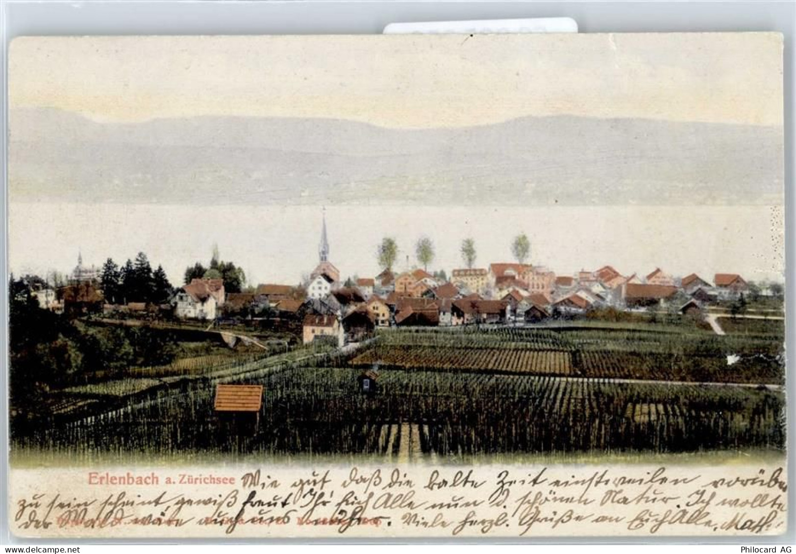 8703 Erlenbach ZH - 50925656