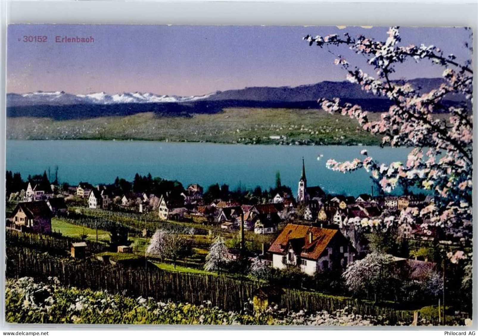 8703 Erlenbach ZH - 51080679