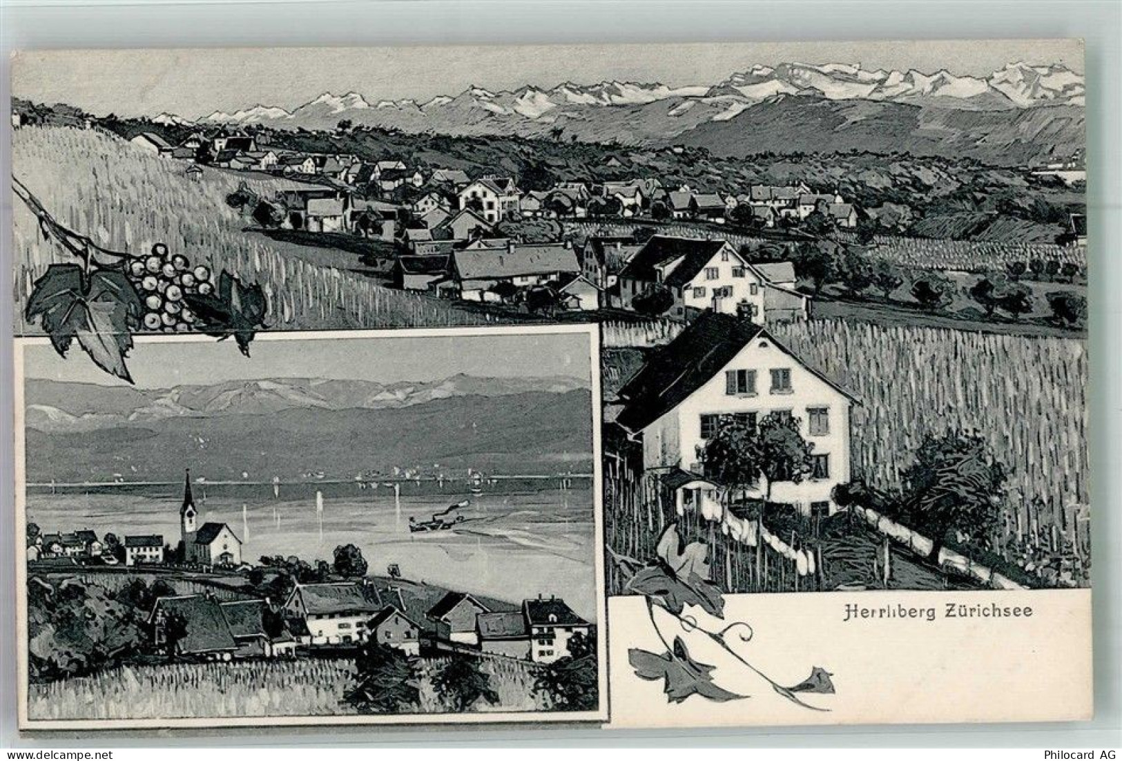 8704 Herrliberg Foto AK Zürichsee - 13673230