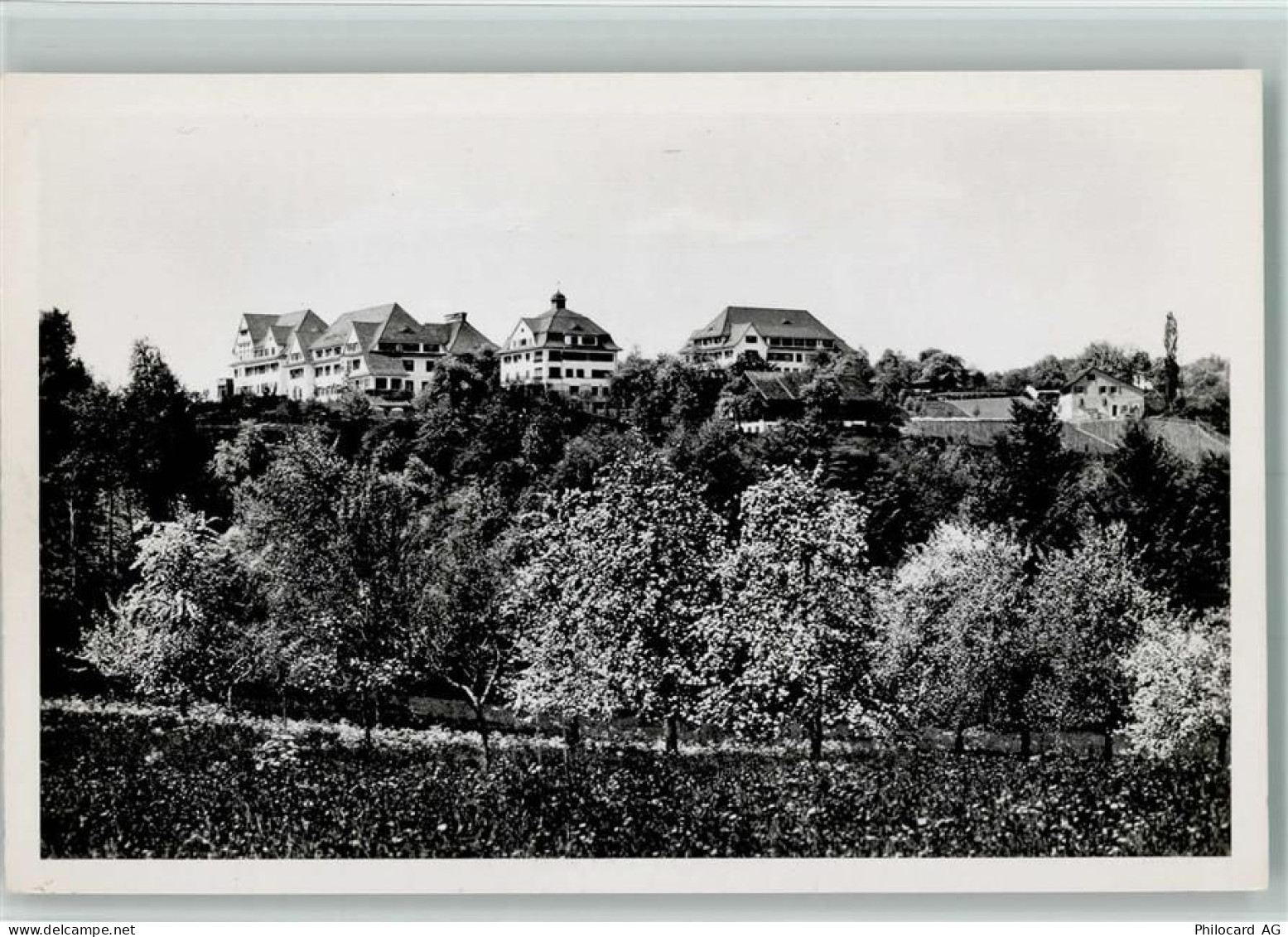 8706 Meilen - Hohenegg - 10257104