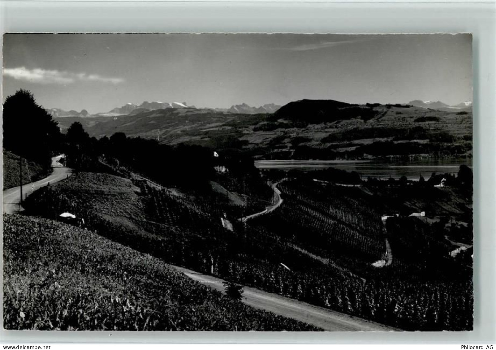 8708 Männedorf - 10159411