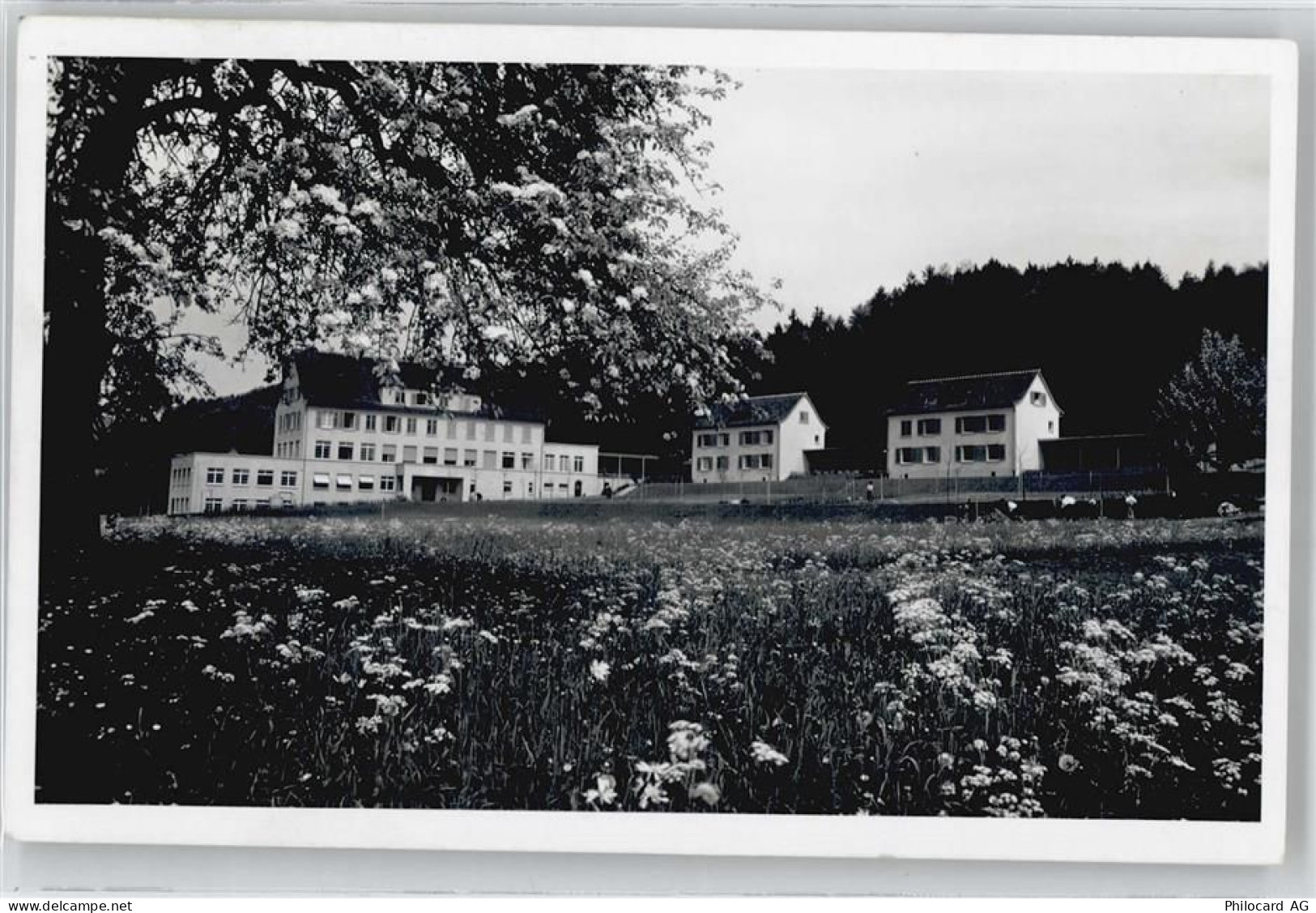 8708 Männedorf - 50672489