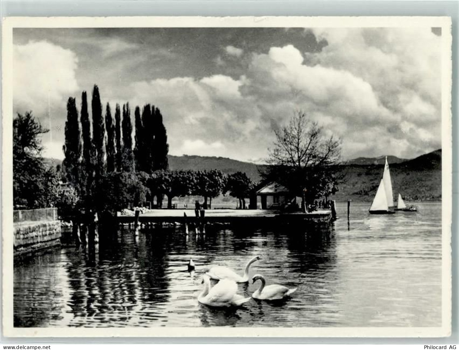 8708 Männedorf - Am See - 10391300