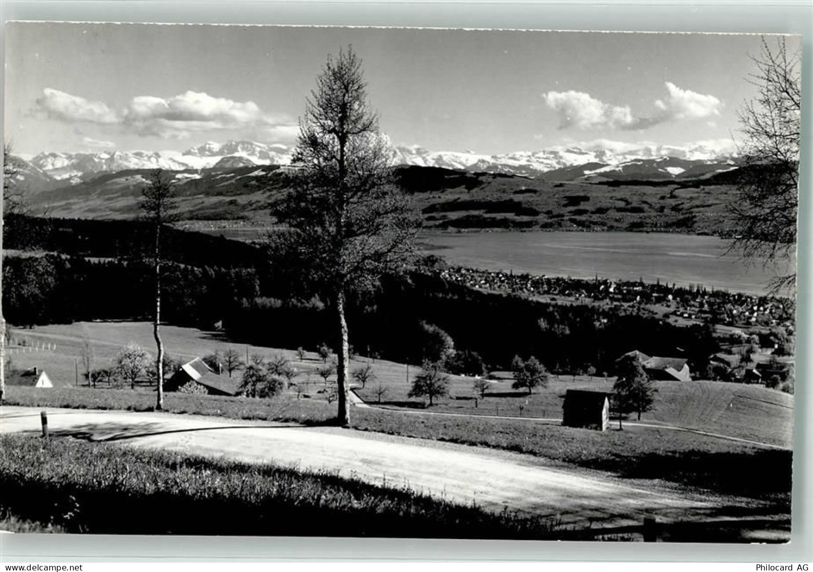 8708 Männedorf Foto AK Foto Oetiker - 39535885