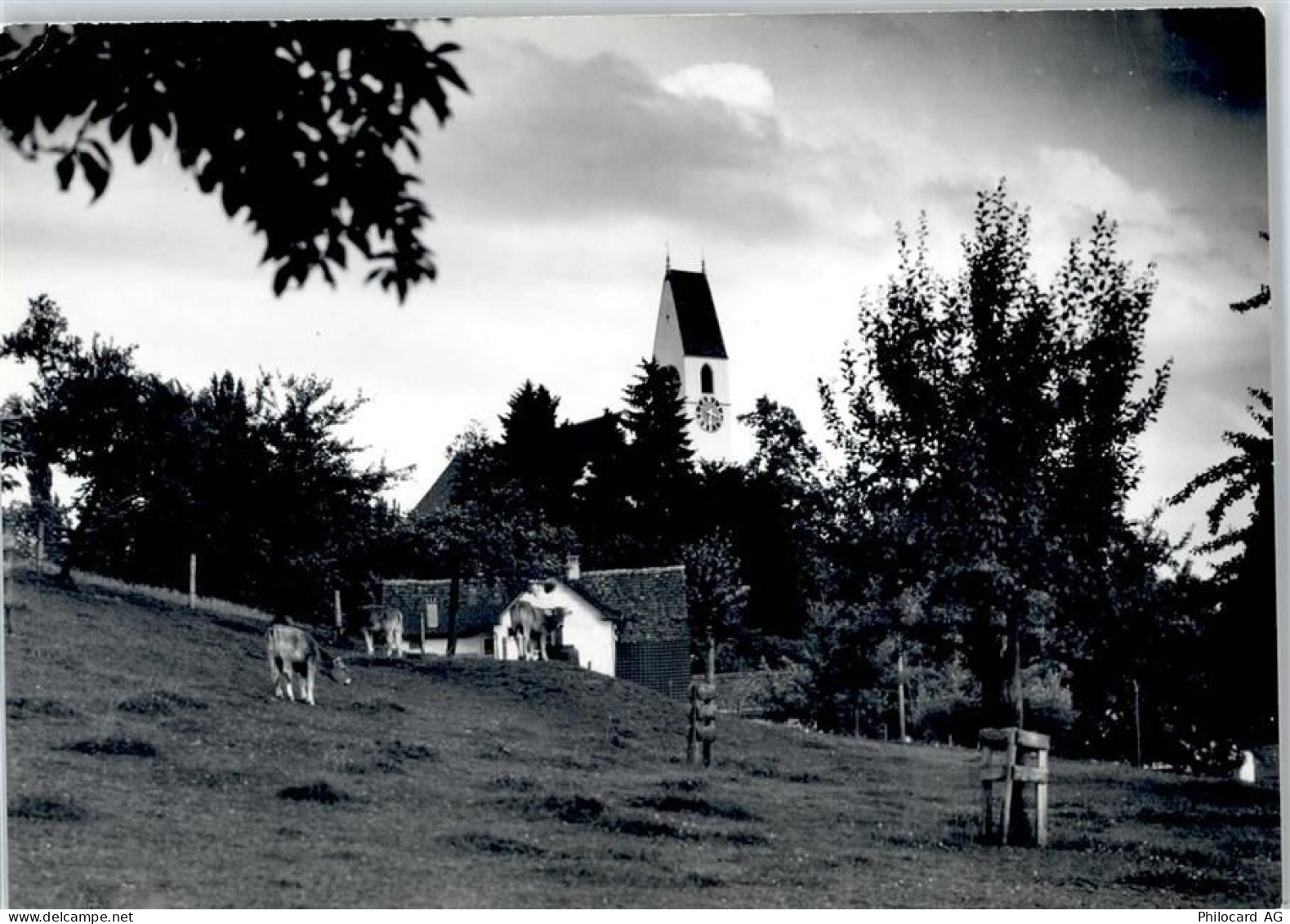 8708 Männedorf - Kirche - 50746297