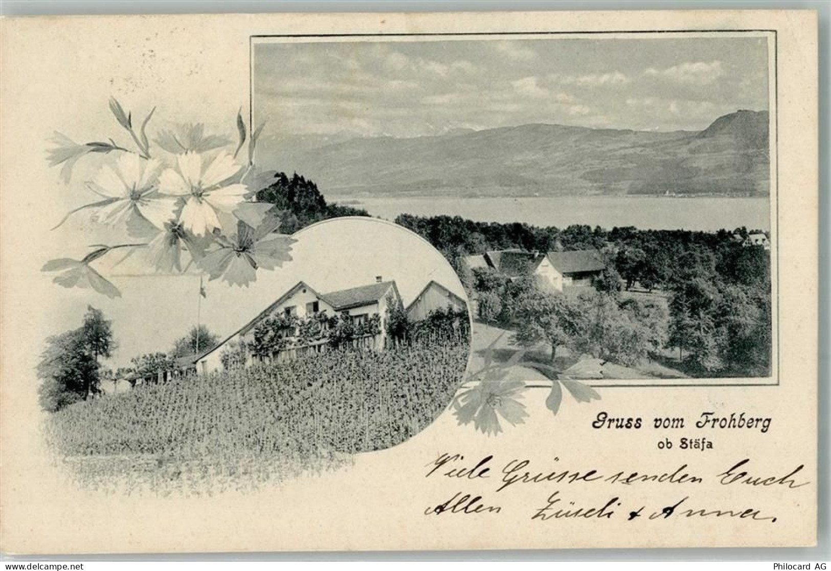 8712 Stäfa 1906 - Gruß vom Frohberg - 13540307