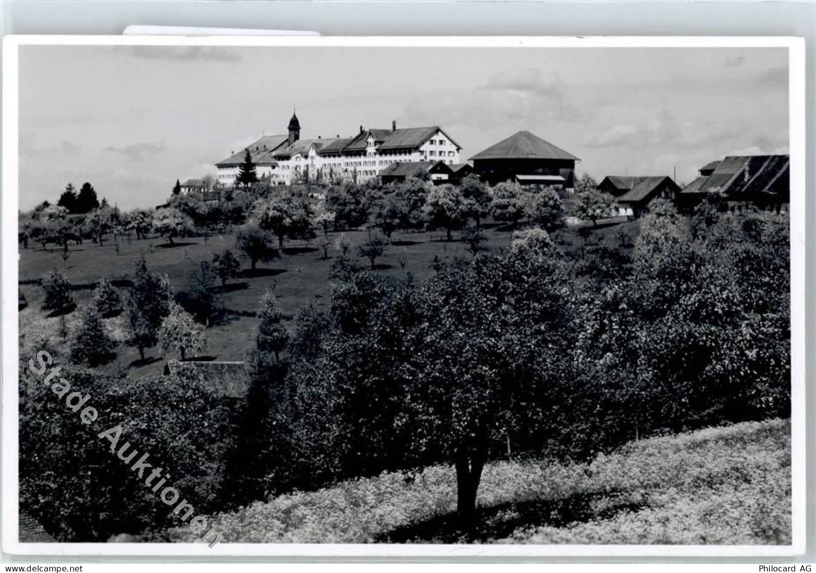 8730 Uznach - 51282447