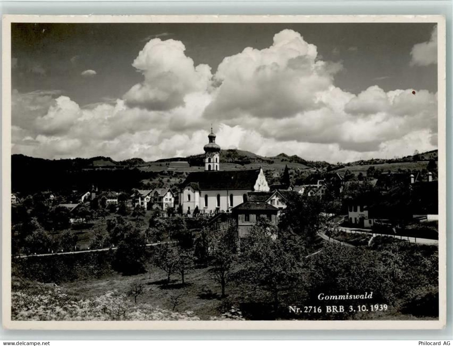 8737 Gommiswald - 10163037