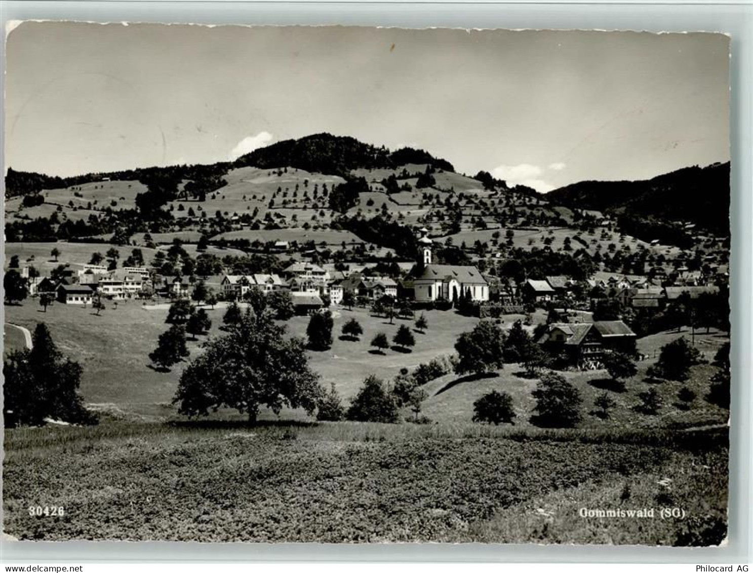 8737 Gommiswald - 13100054