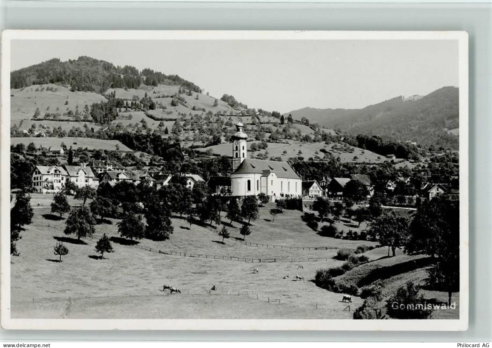 8737 Gommiswald - 13100295