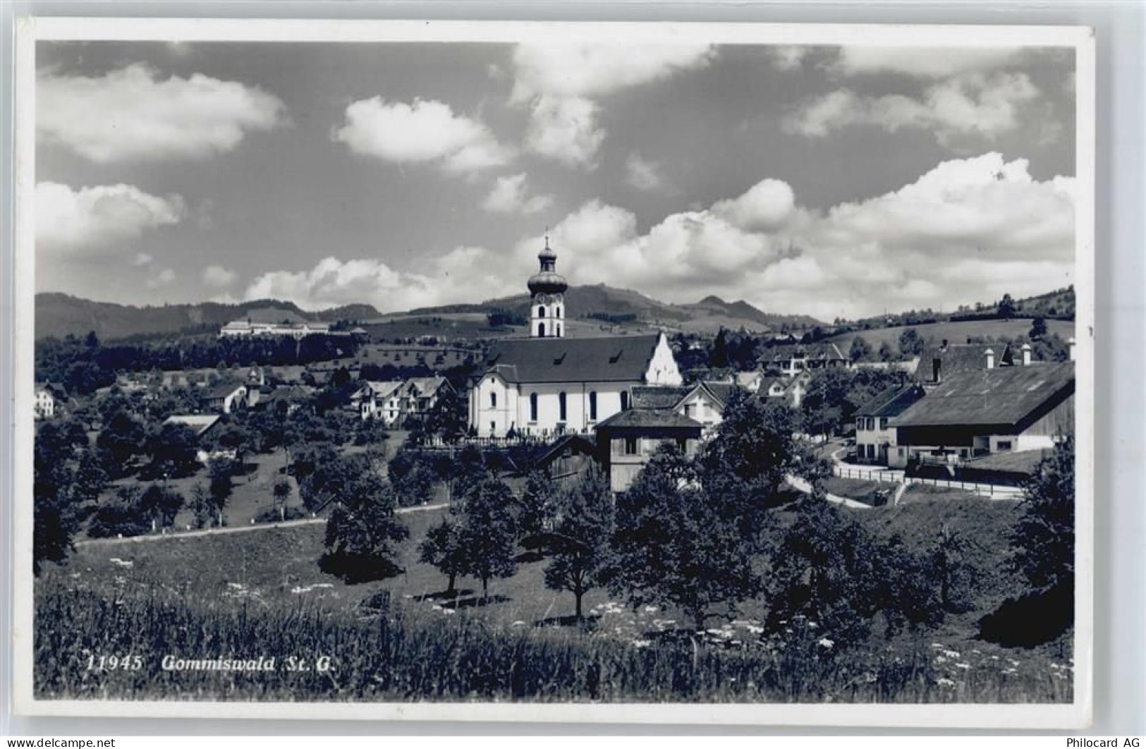 8737 Gommiswald - 50894855