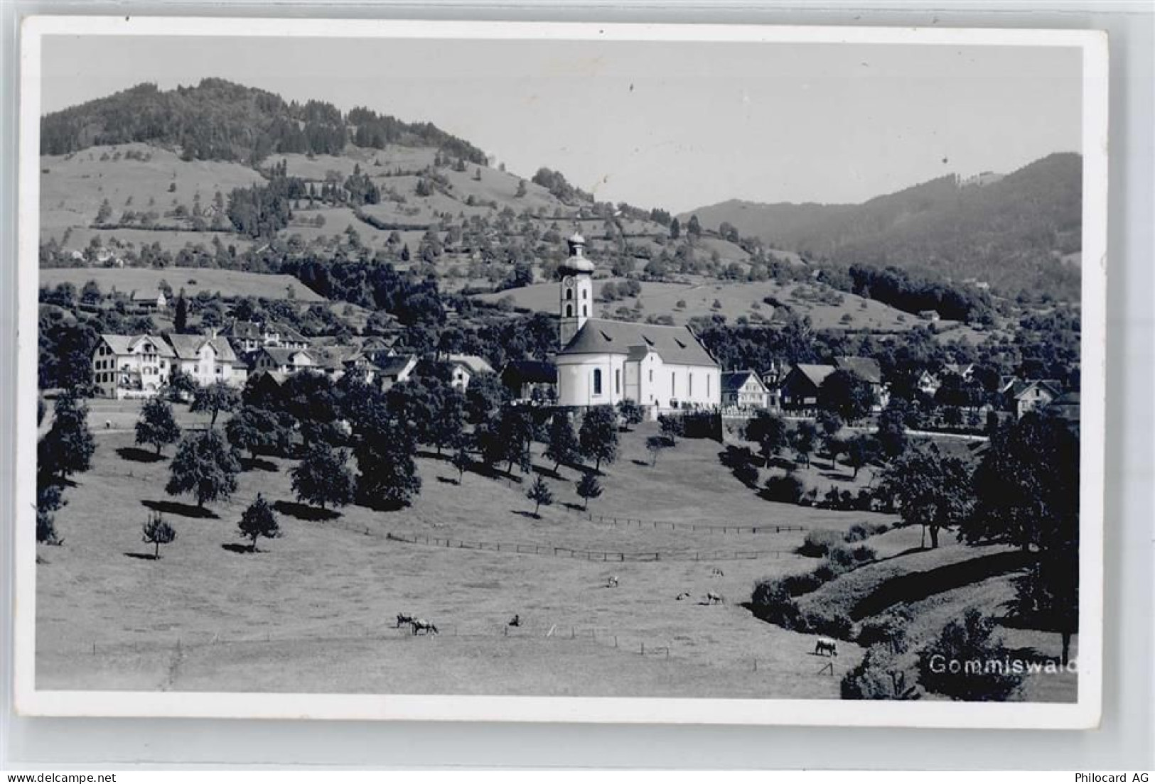 8737 Gommiswald - 50894967