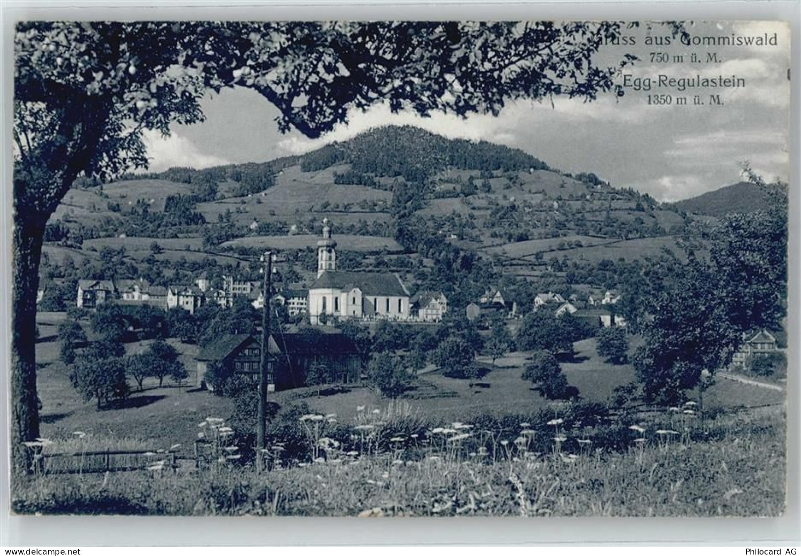 8737 Gommiswald - Gesamtansicht - 50895021