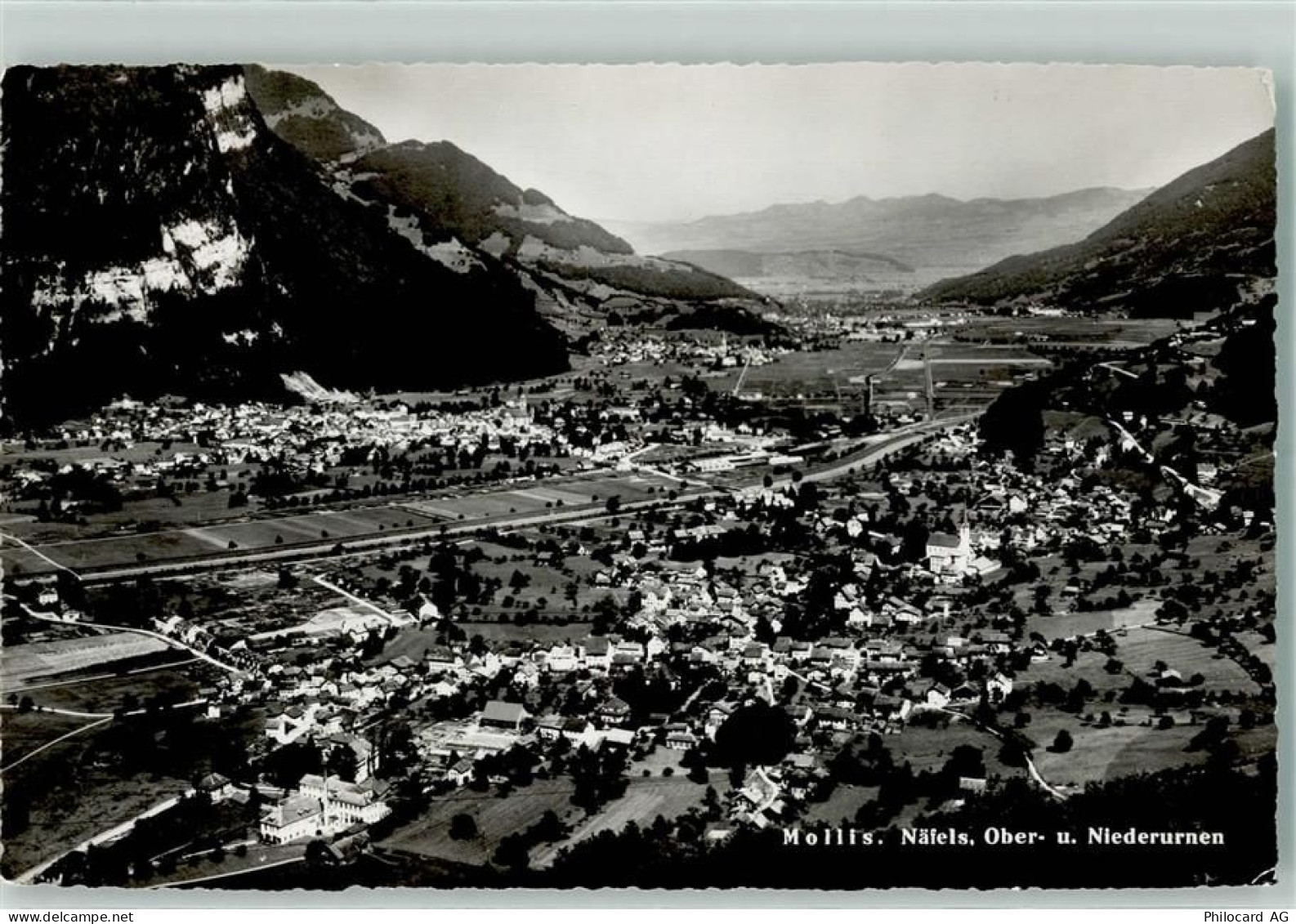 8753 Mollis - 10203939